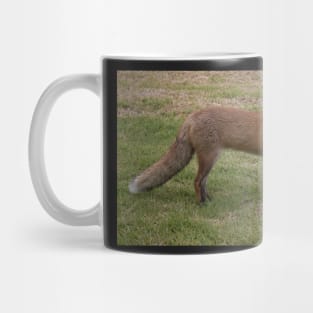 Cheeky Fox Mug